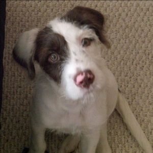 Meet your Posher, Wesley